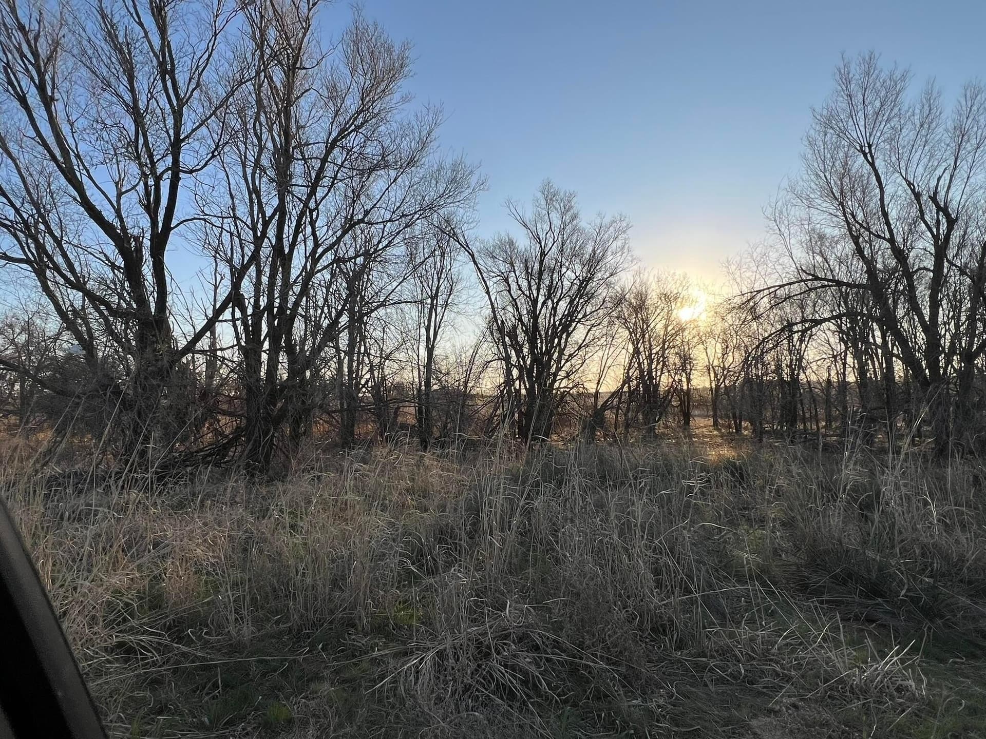 94 acres in Childress County gallery image 4