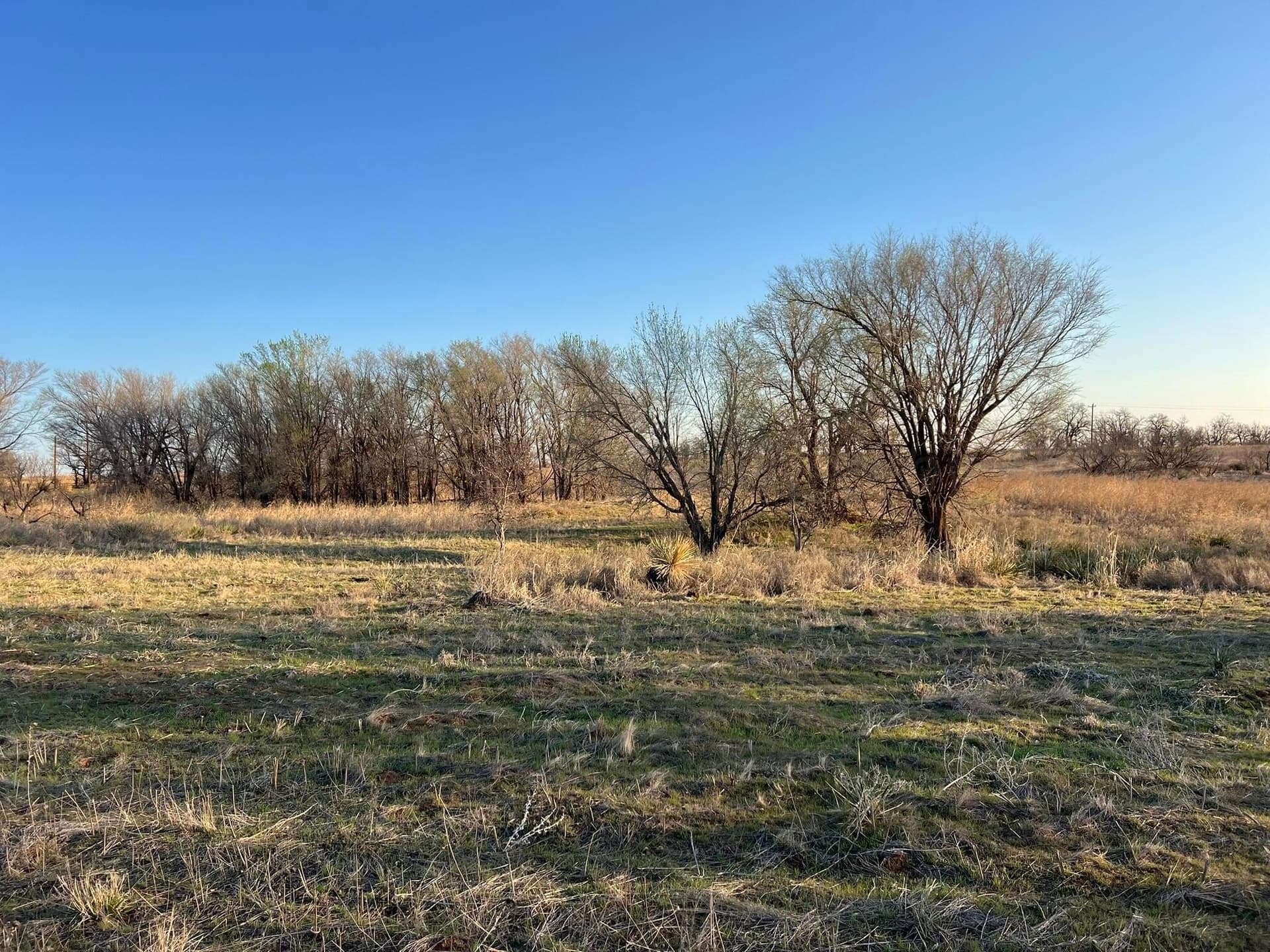 94 acres in Childress County featured view