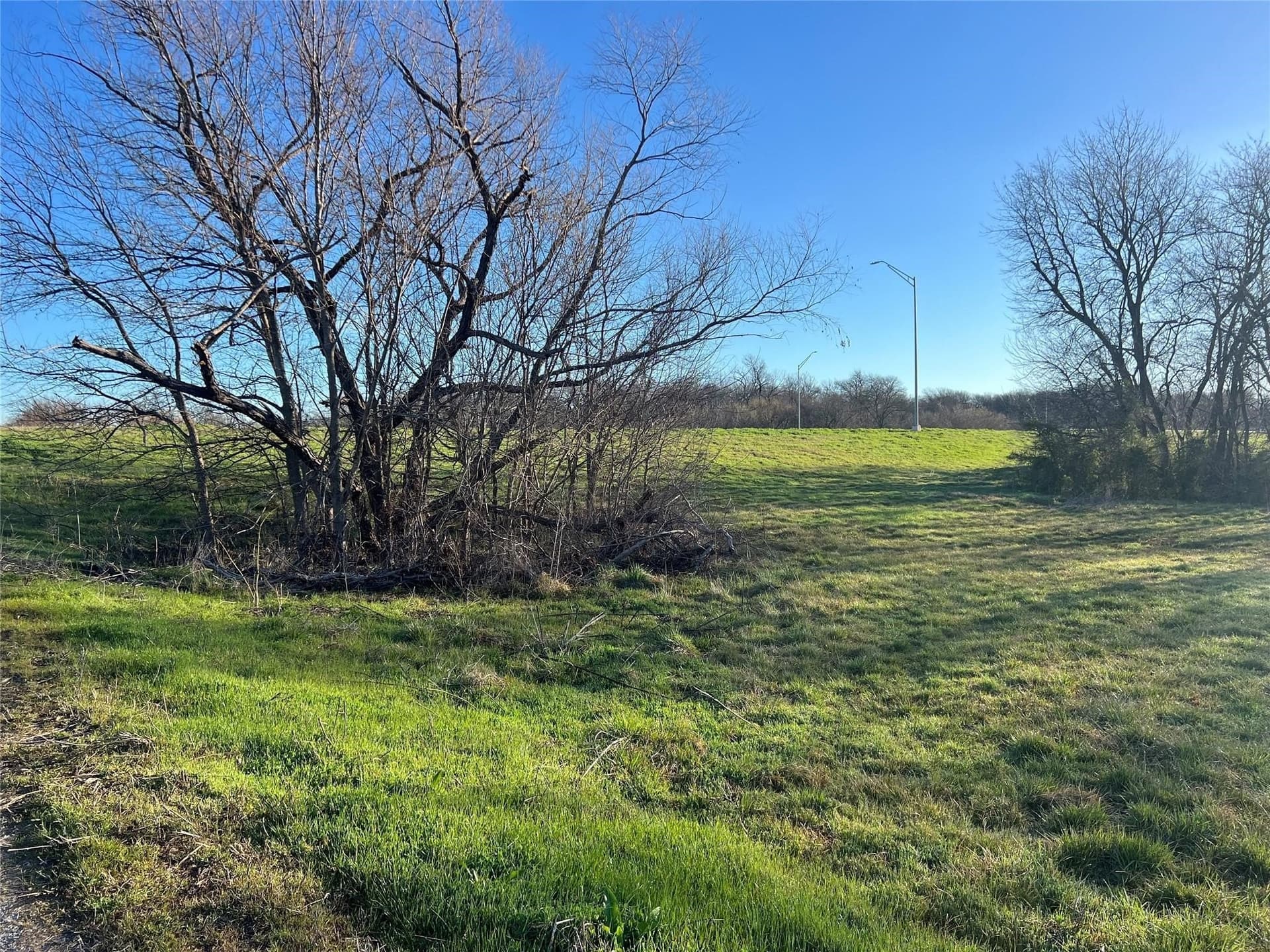 5 acres in Fannin County - photo 13