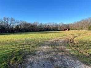 5 acres in Fannin County - photo 7