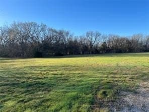 5 acres in Fannin County - photo 6