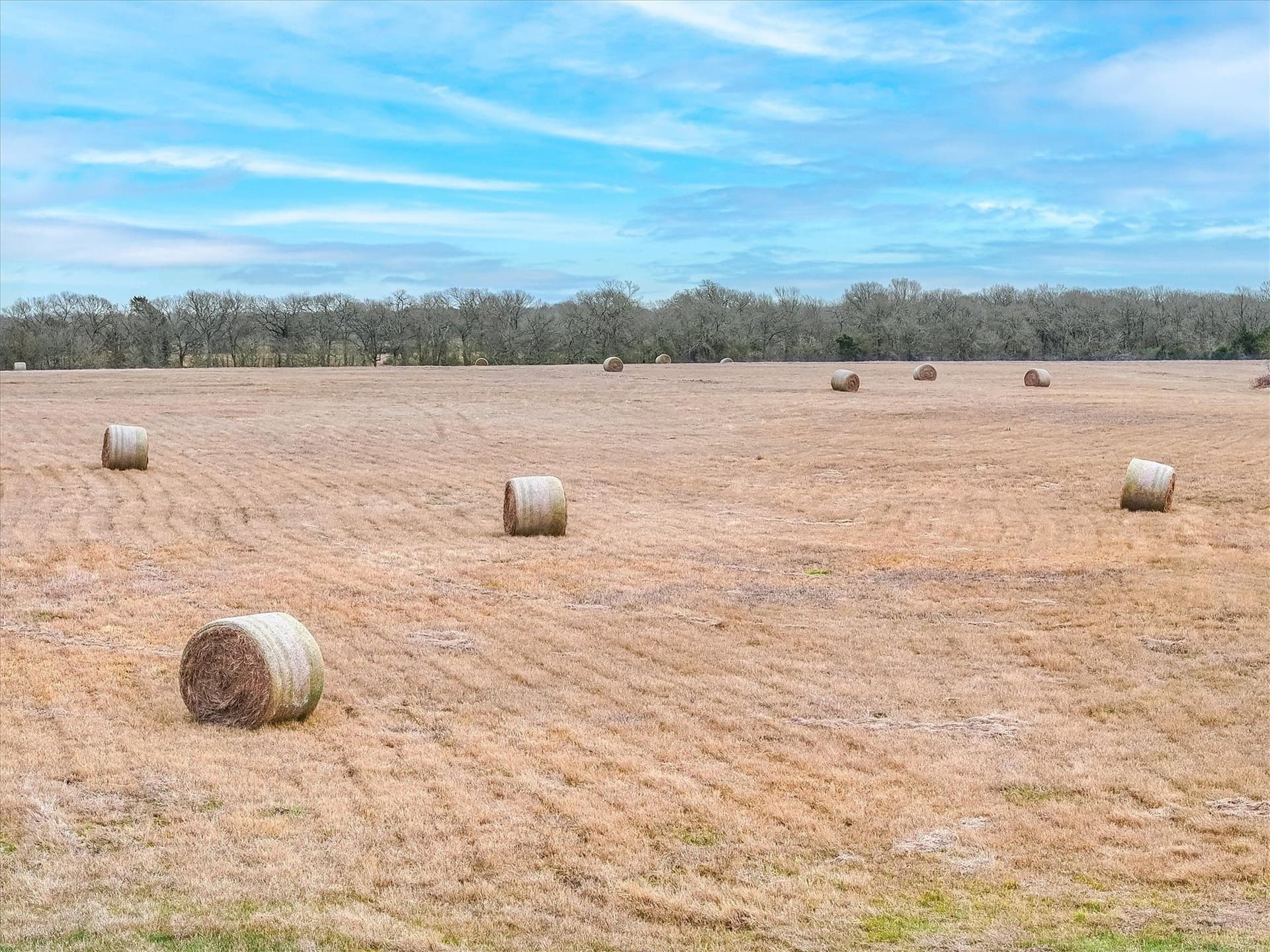 15.5 acres in Kaufman County - photo 11