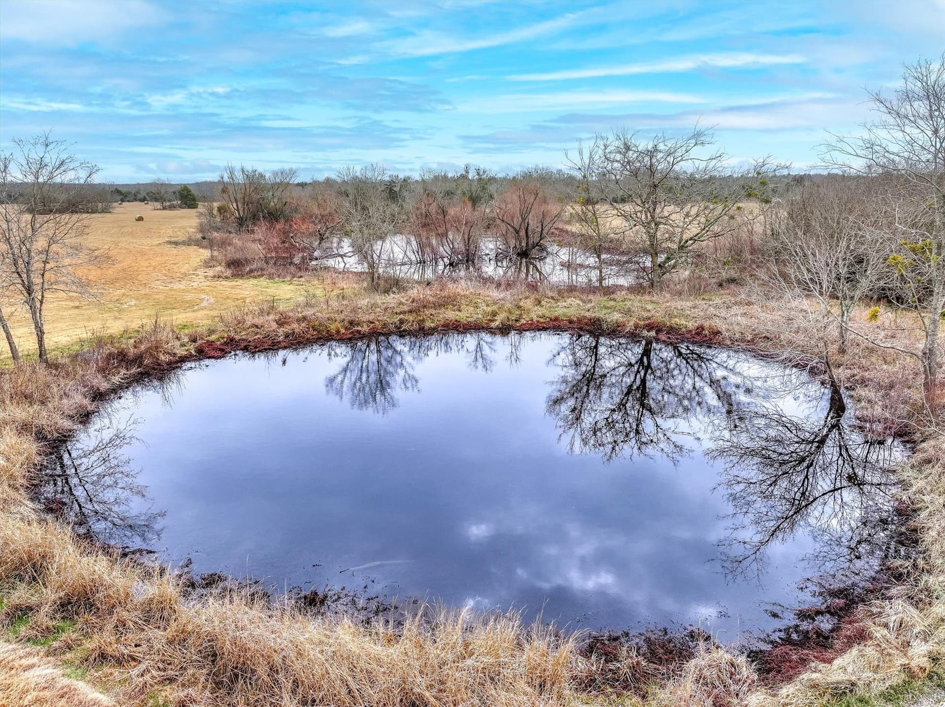 15.5 acres in Kaufman County - photo 10