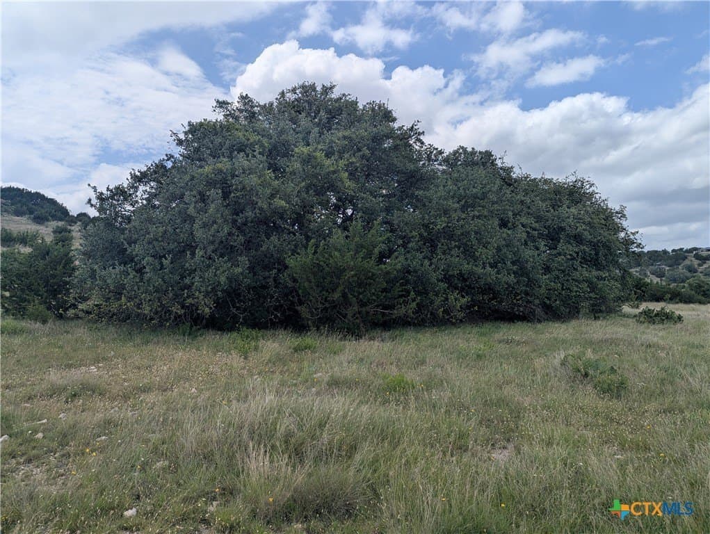 5.01 acres in Lampasas County - photo 8