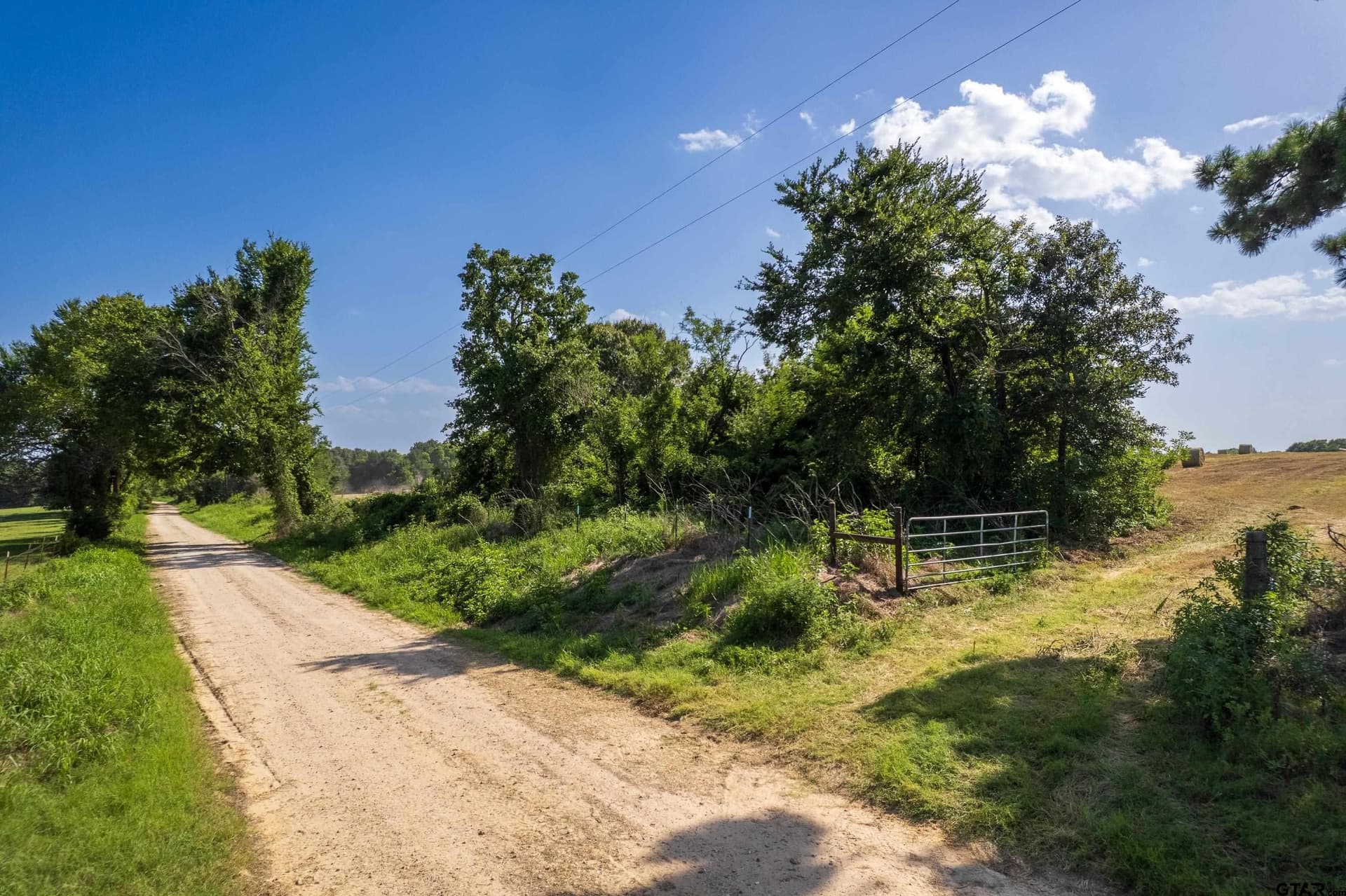 67 acres in Hopkins County - photo 9