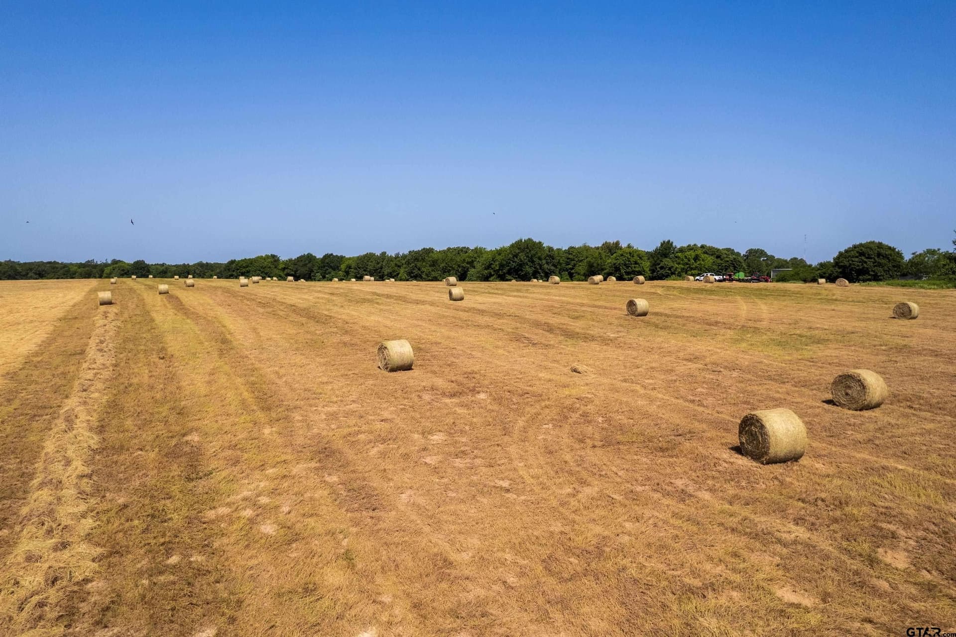 67 acres in Hopkins County - photo 3