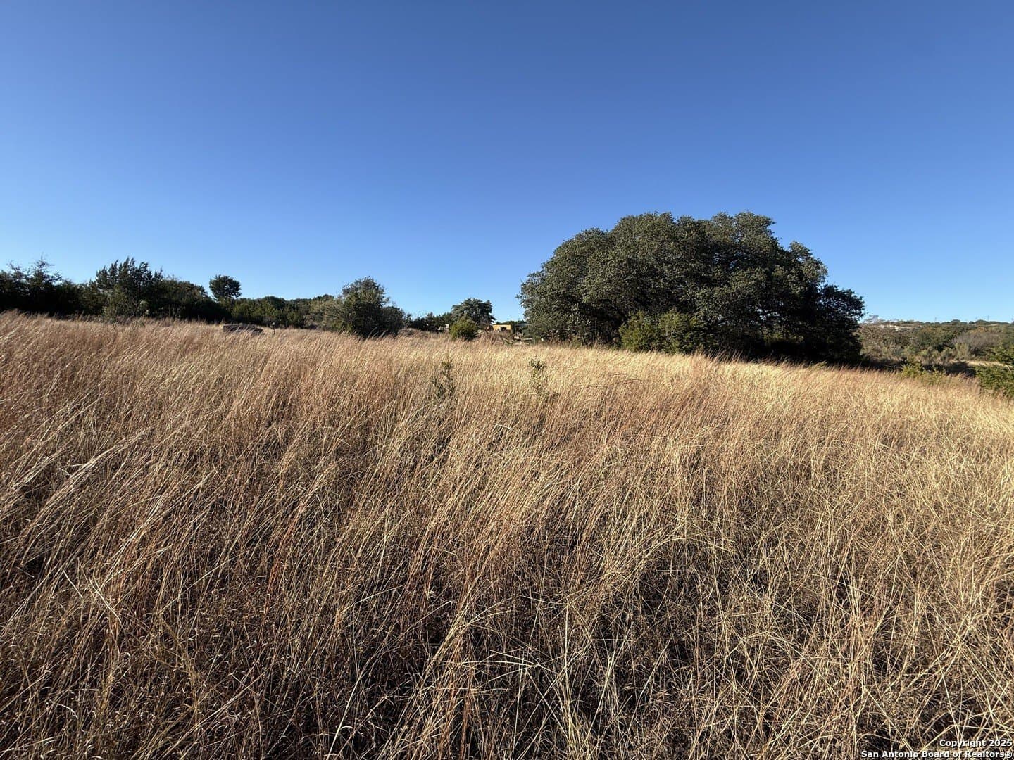 4 acres in Burnet County gallery image 3