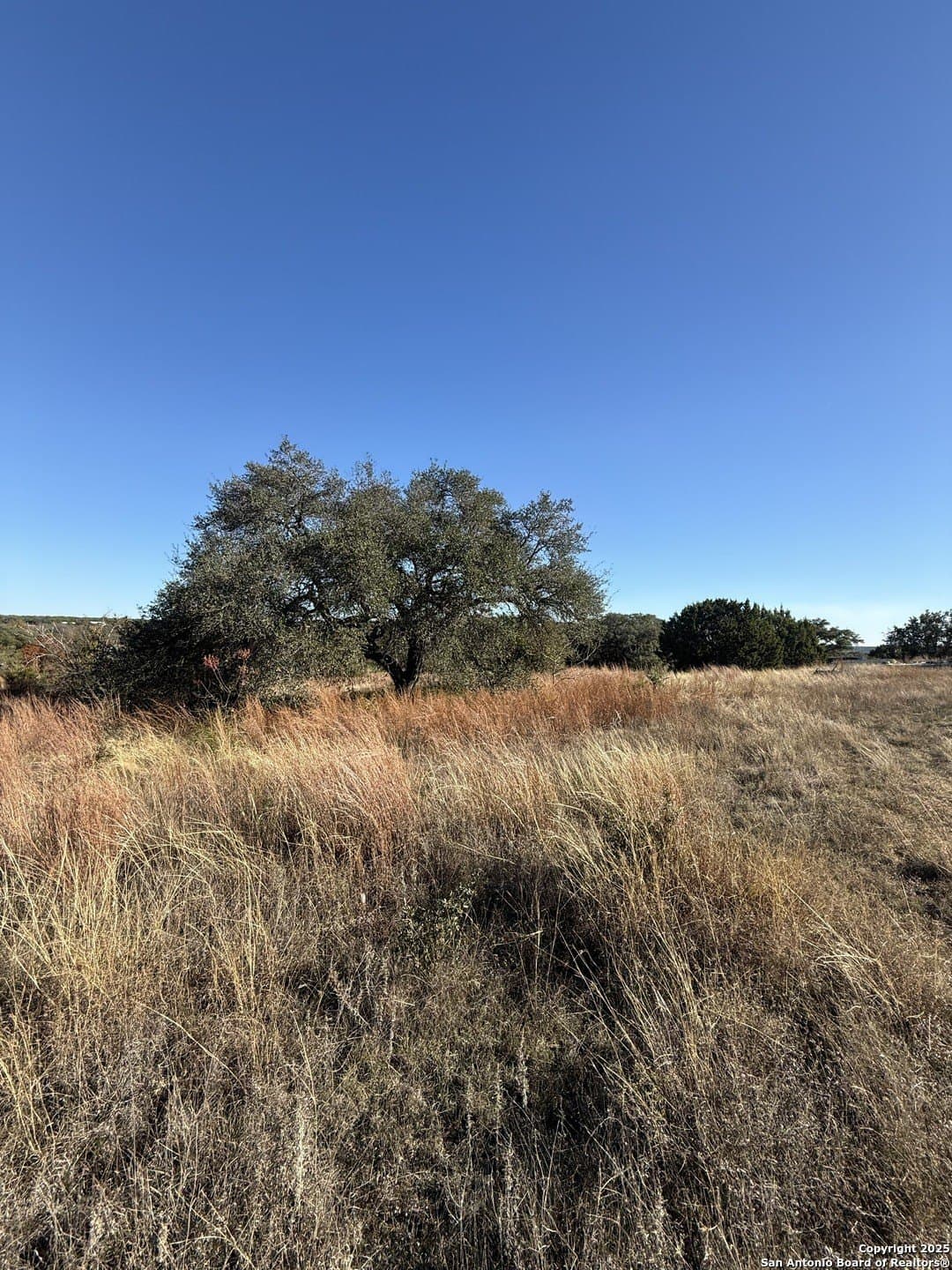 4 acres in Burnet County - photo 6