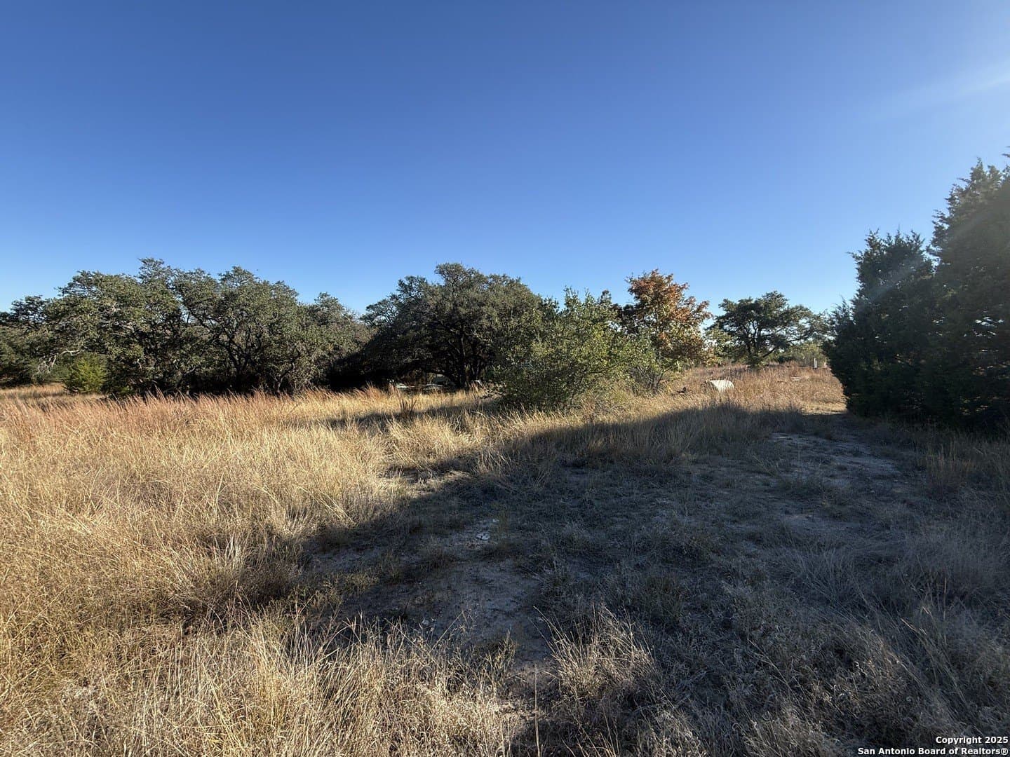 4 acres in Burnet County - photo 9