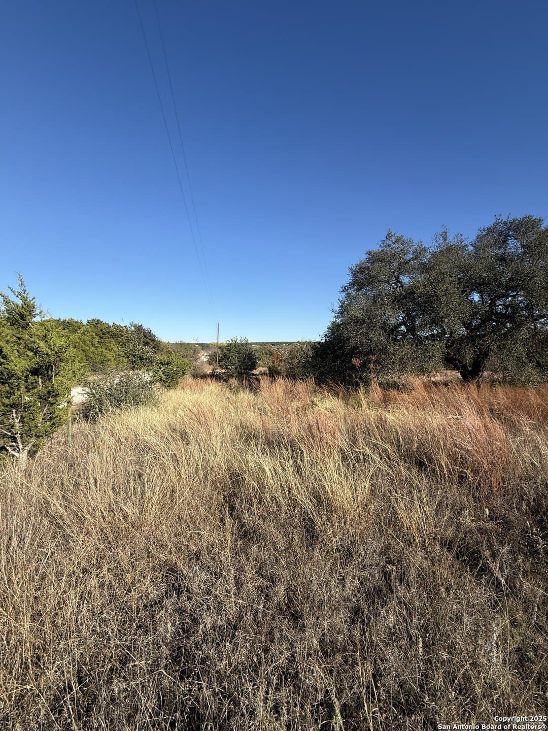 4 acres in Burnet County gallery image 2
