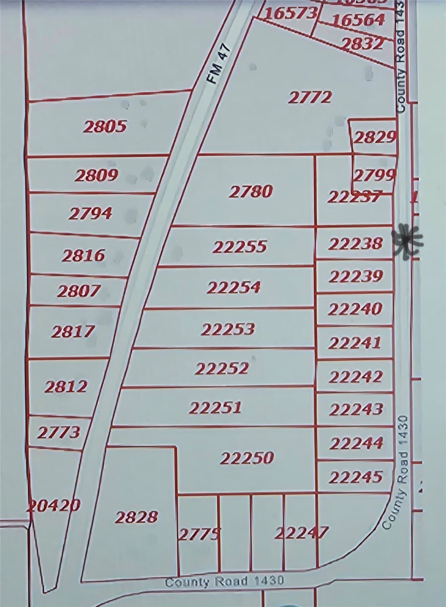 1.5 acres in Rains County gallery image 3