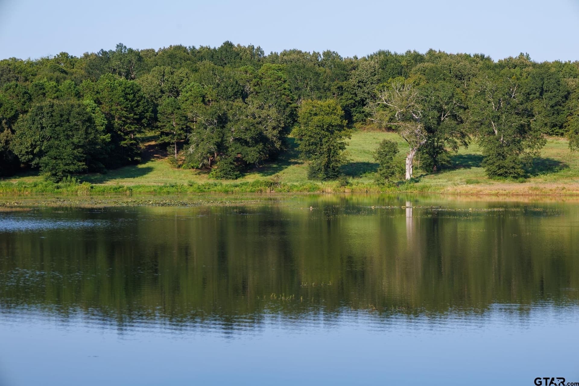 35 acres in Smith County gallery image 3
