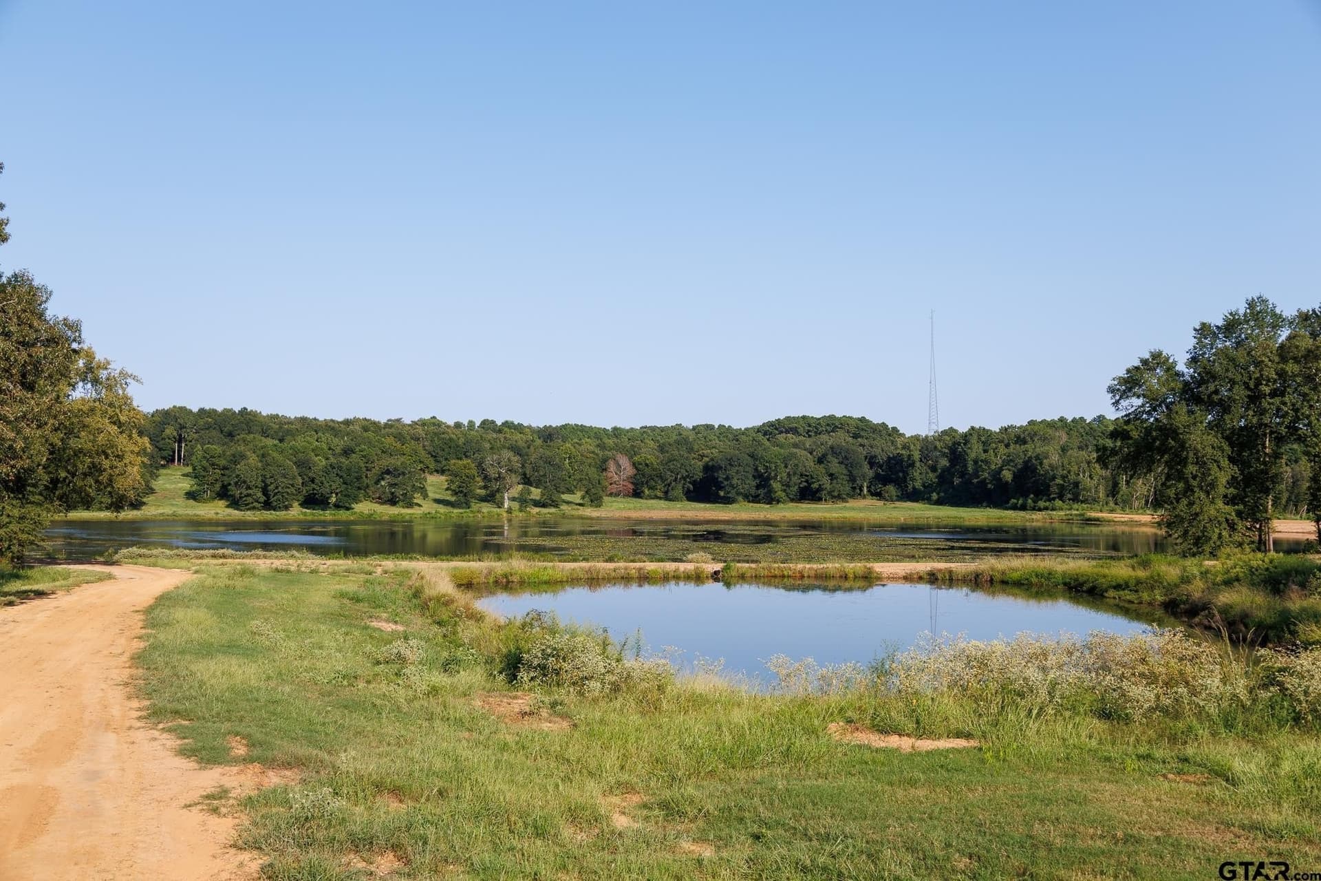 35 acres in Smith County gallery image 4