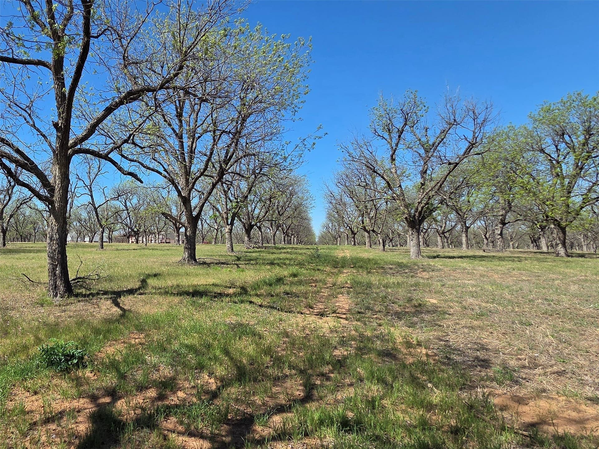 2.65 acres in Hood County - photo 11