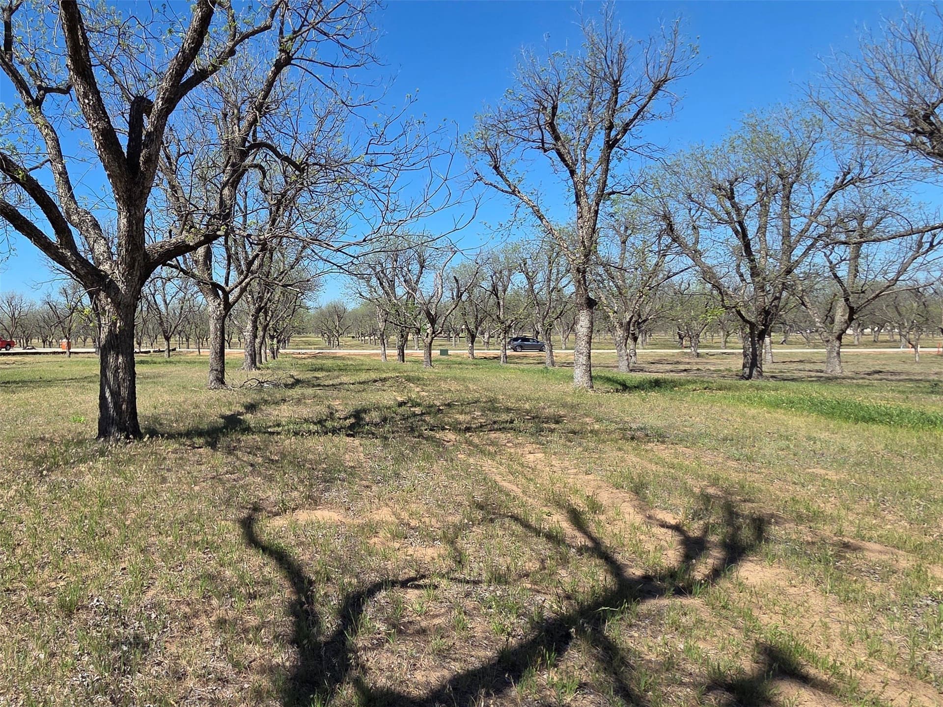 2.65 acres in Hood County - photo 12
