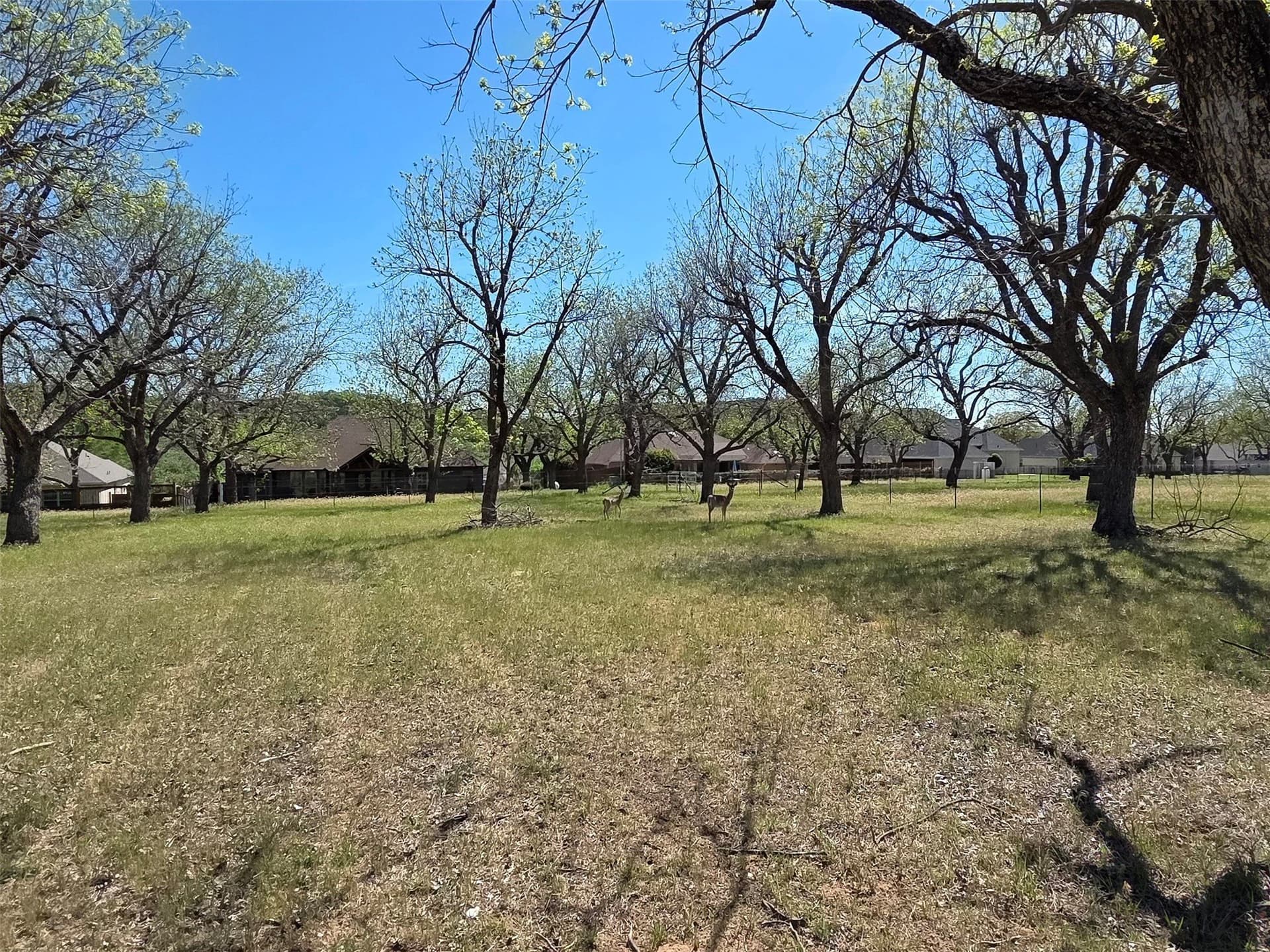 2.65 acres in Hood County - photo 9