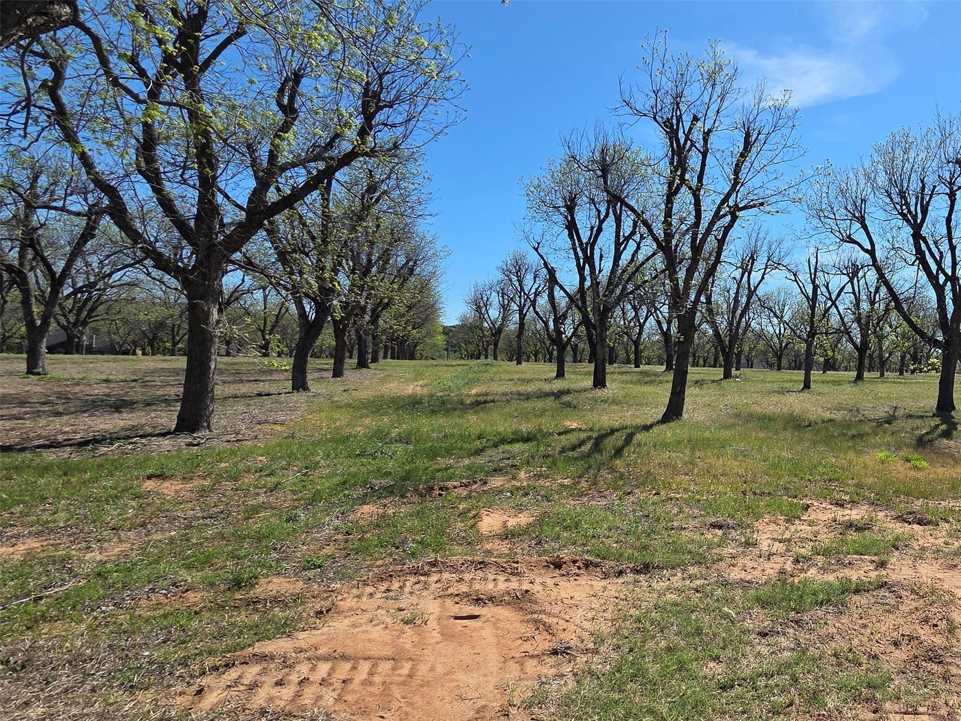 2.65 acres in Hood County - photo 16