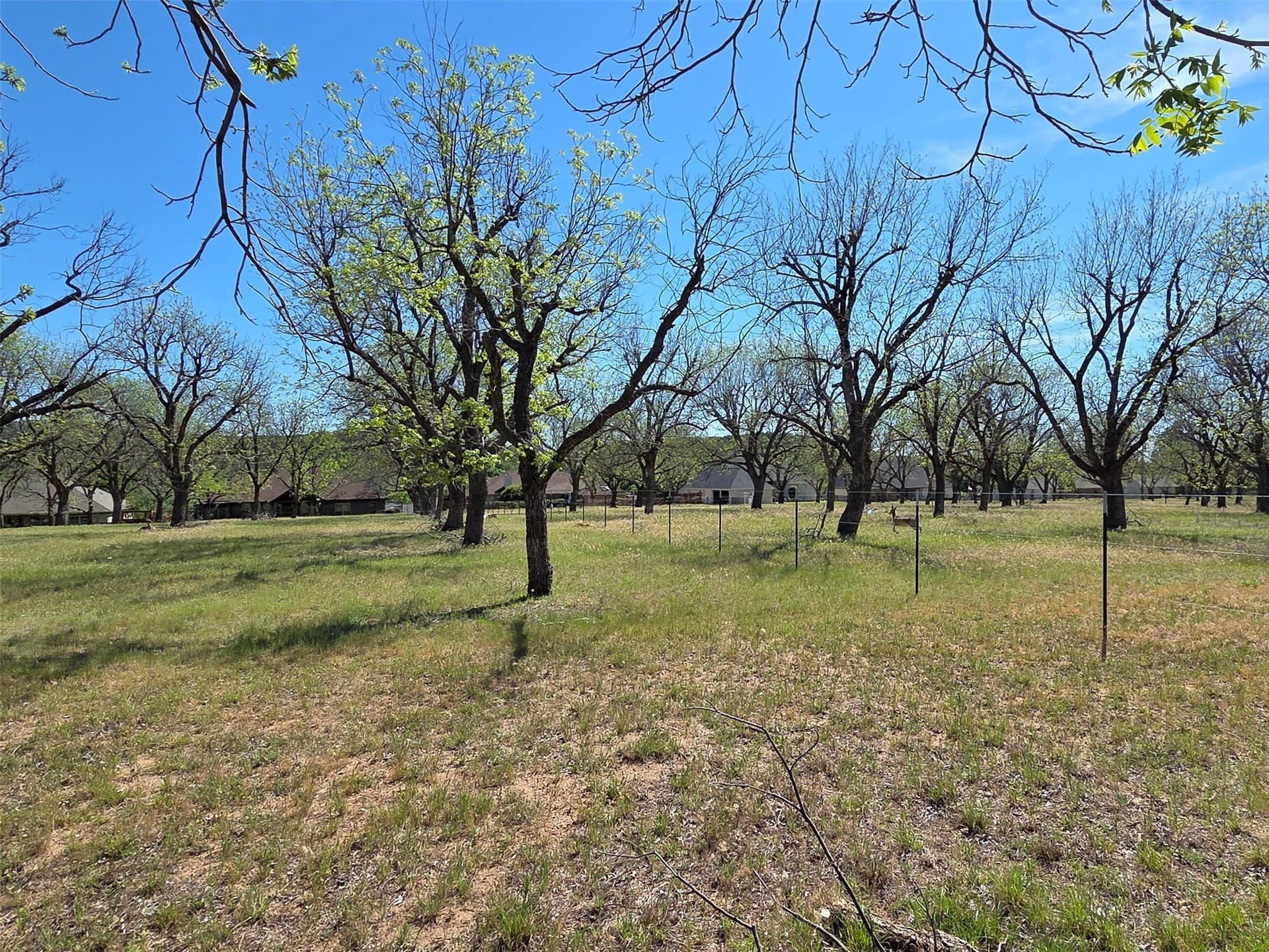 2.65 acres in Hood County - photo 8