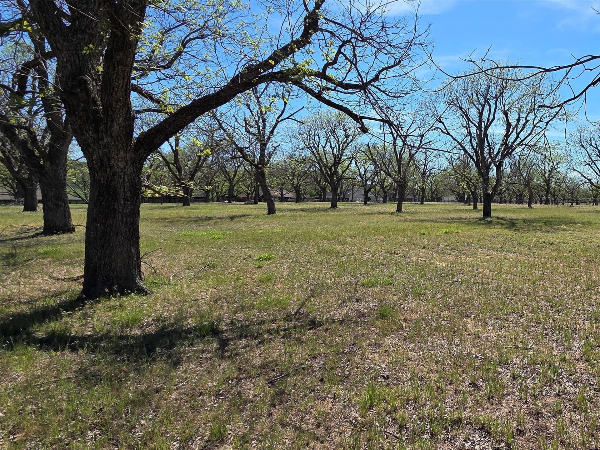 2.65 acres in Hood County - photo 13