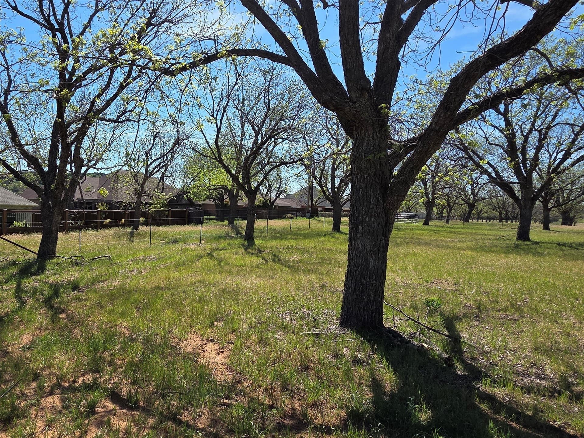 2.65 acres in Hood County - photo 10