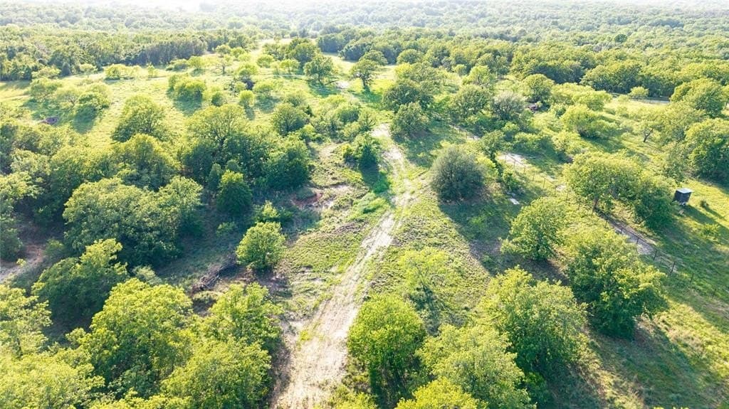 53.83 acres in Wise County gallery image 4
