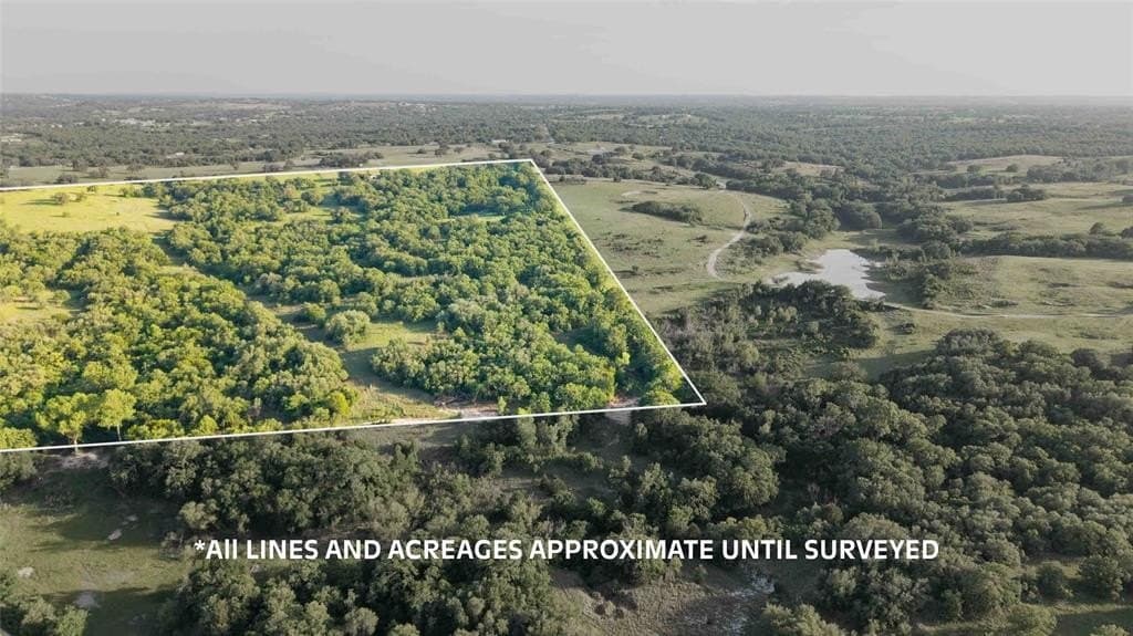 53.83 acres in Wise County gallery image 2