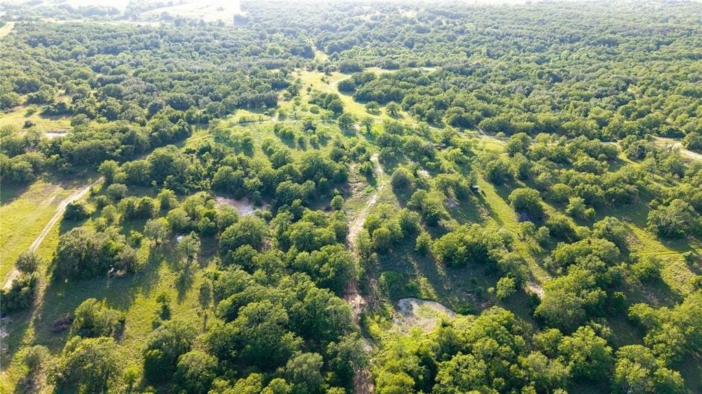 53.83 acres in Wise County gallery image 3
