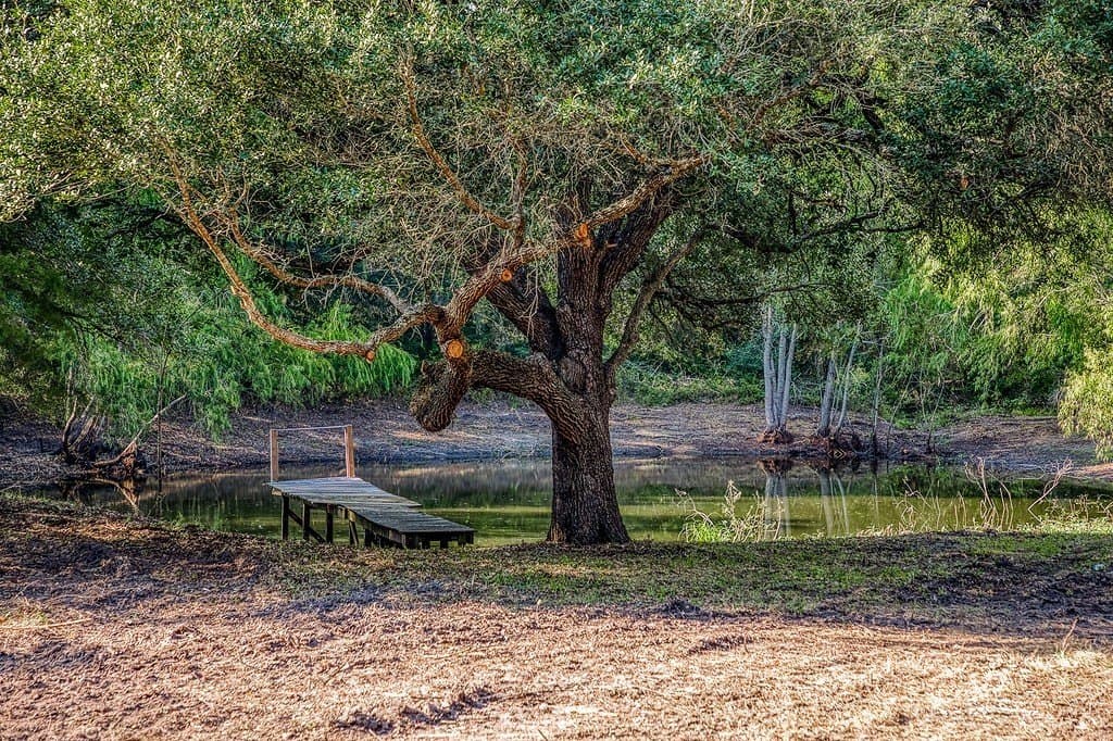 10 acres in Washington County gallery image 3