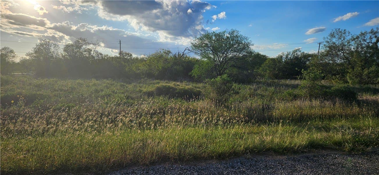 0.21 acres in Jim Wells County