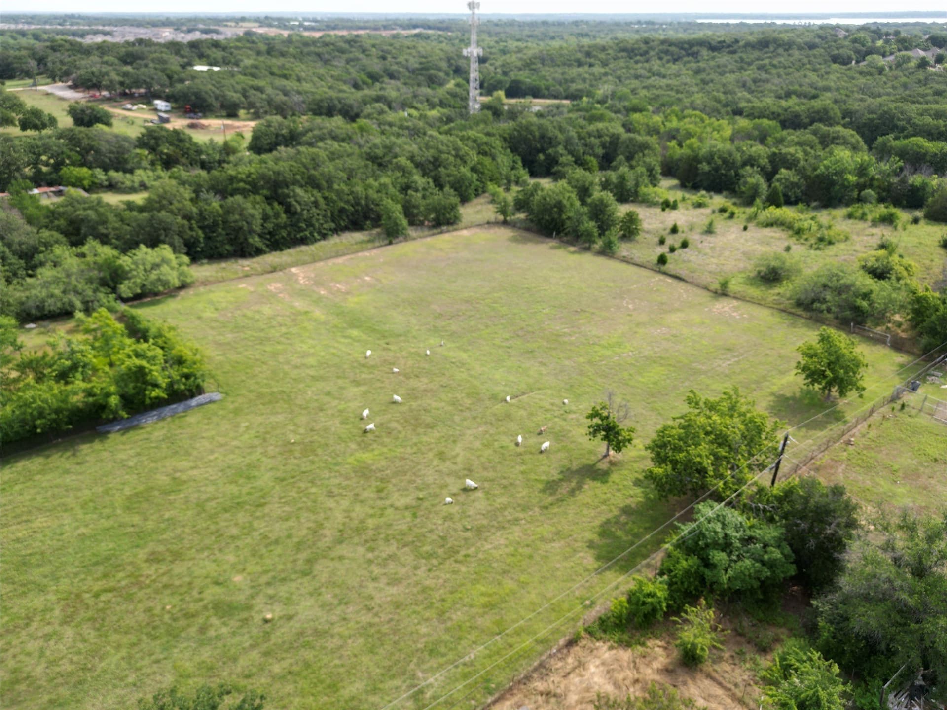 9.99 acres in Denton County - photo 22