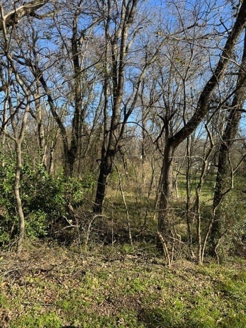 0.35 acres in Henderson County - photo 5