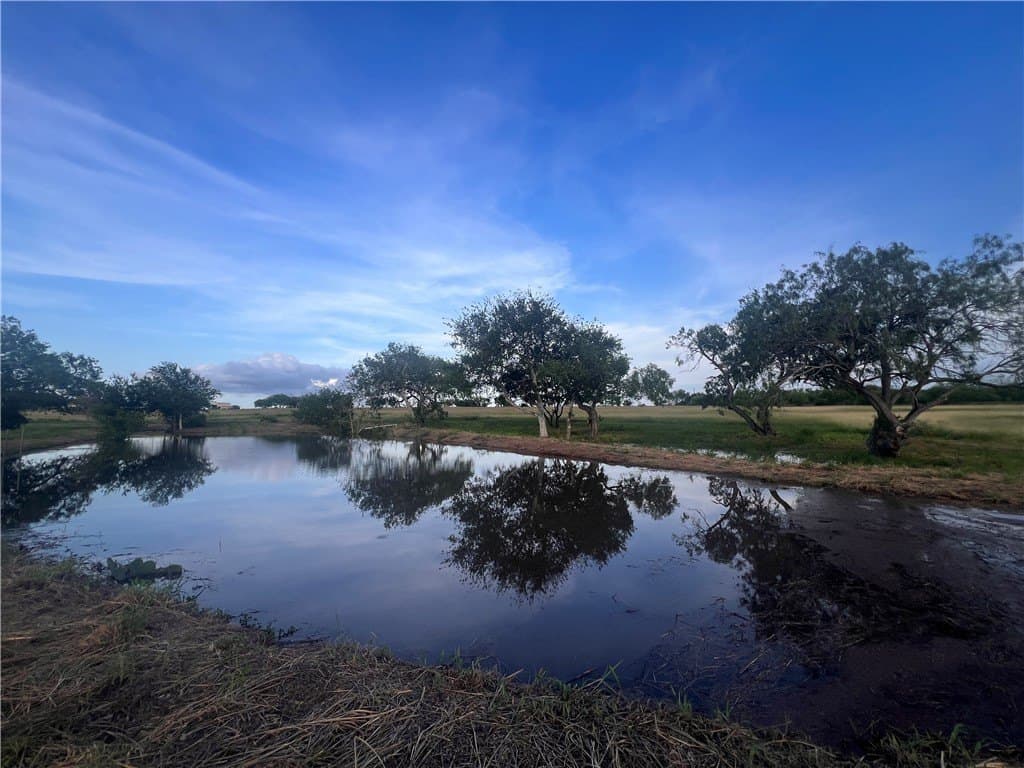 14.86 acres in San Patricio County gallery image 3