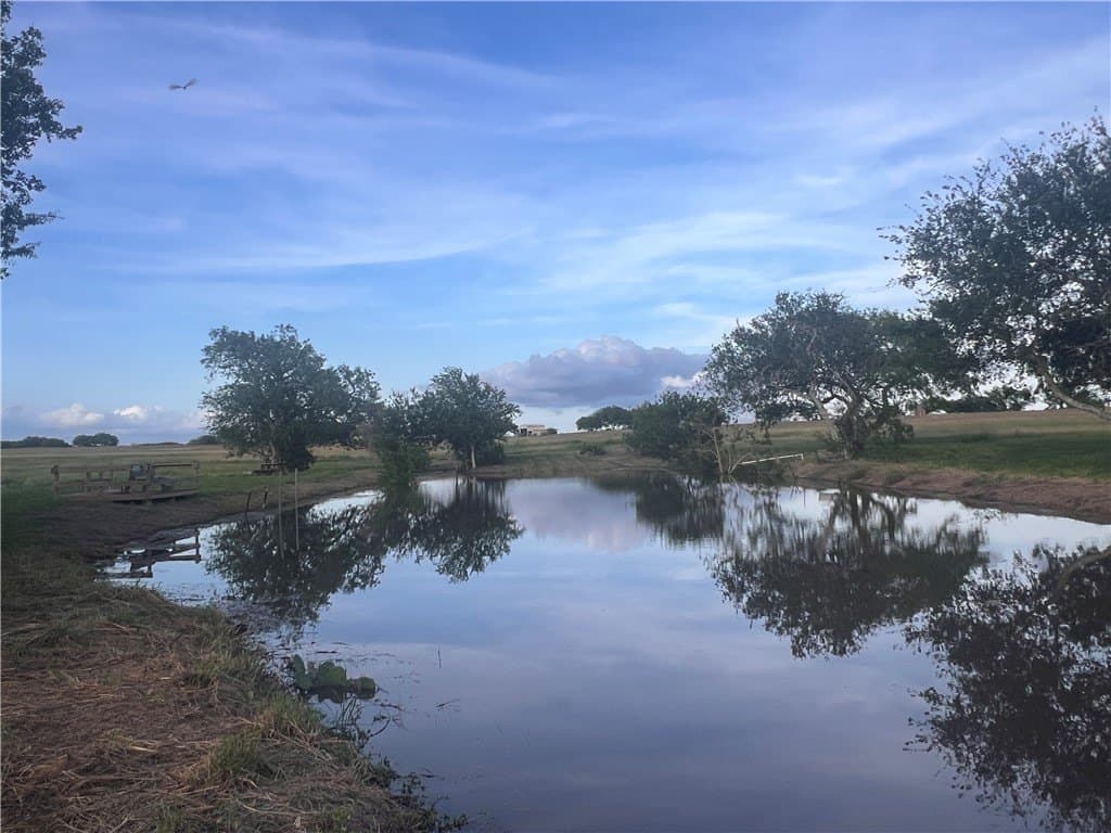 14.86 acres in San Patricio County gallery image 4