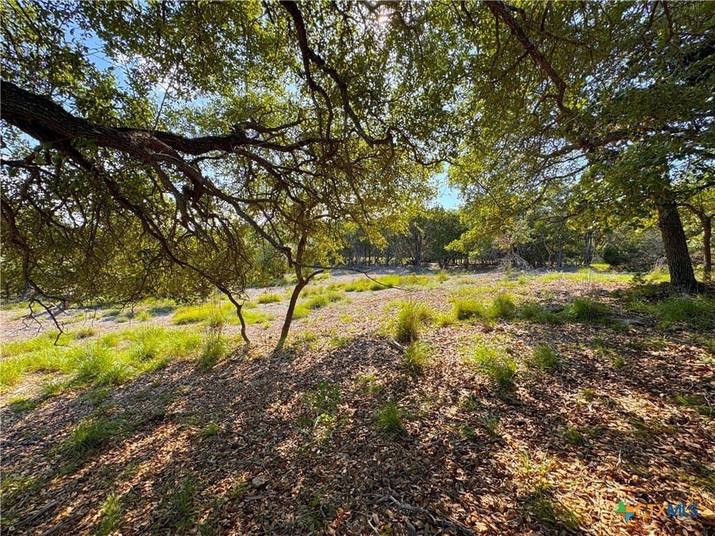 1.04 acres in Comal County - photo 6