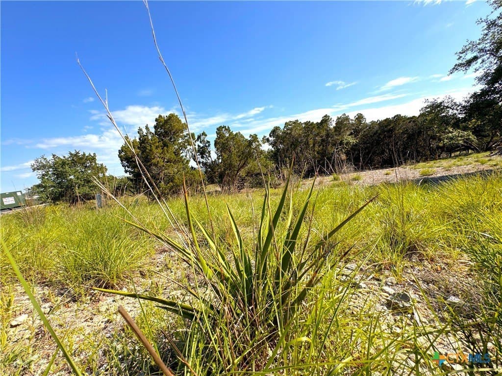 1.04 acres in Comal County gallery image 2