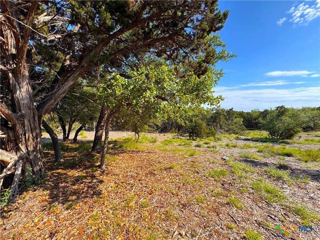 1.04 acres in Comal County - photo 8