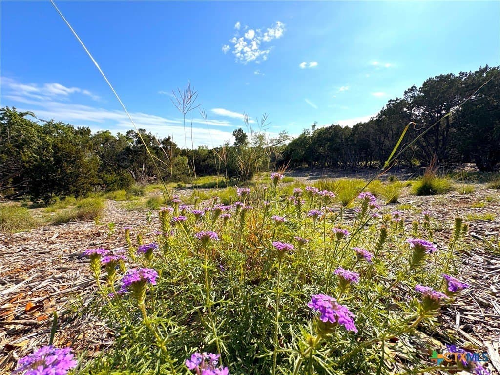 1.04 acres in Comal County - photo 10