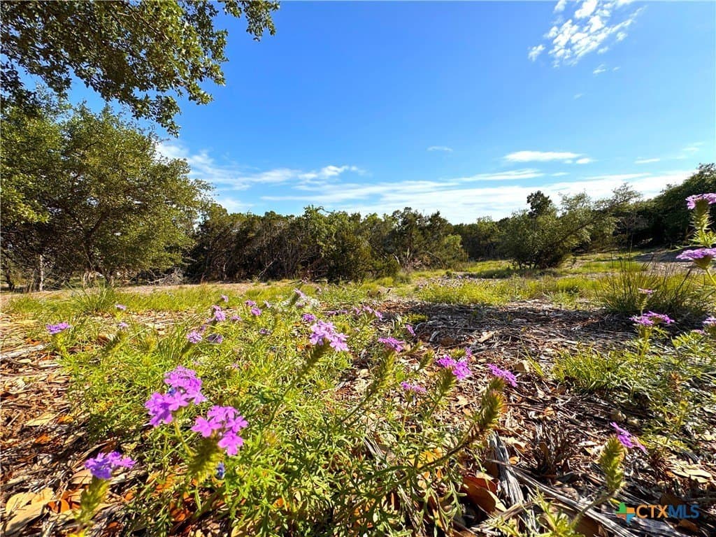1.04 acres in Comal County - photo 7