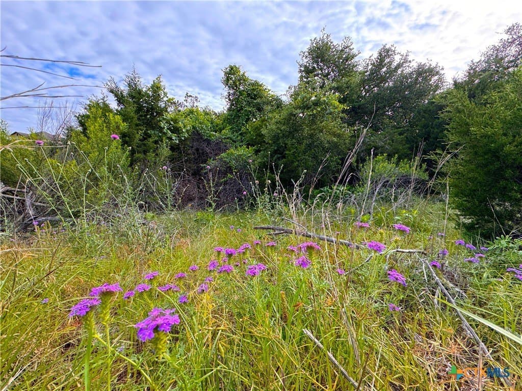 1.04 acres in Comal County gallery image 4