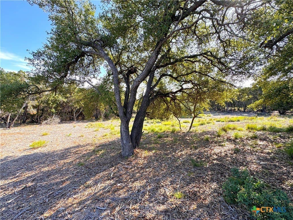 1.04 acres in Comal County featured view
