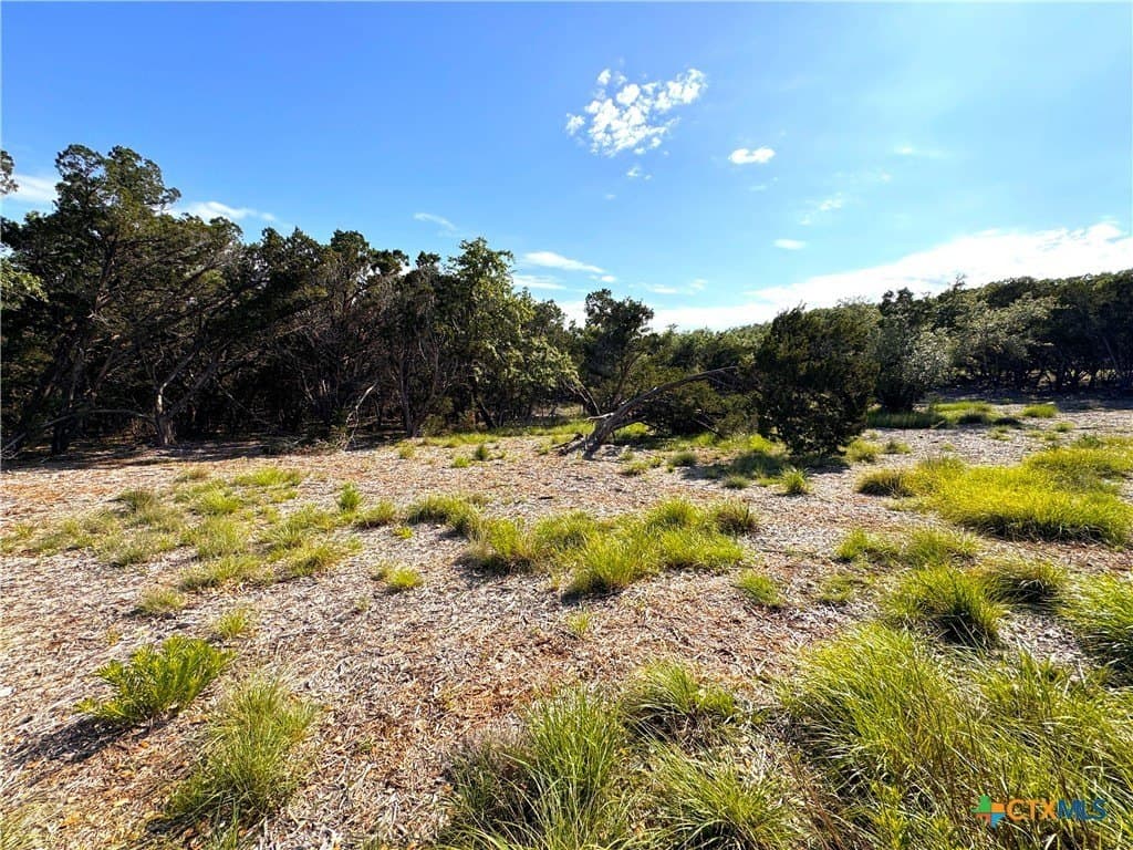 1.04 acres in Comal County - photo 9