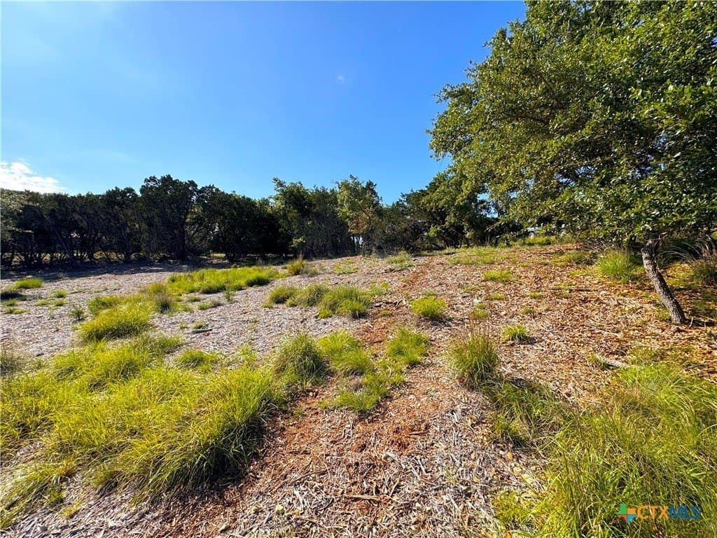 1.04 acres in Comal County - photo 15