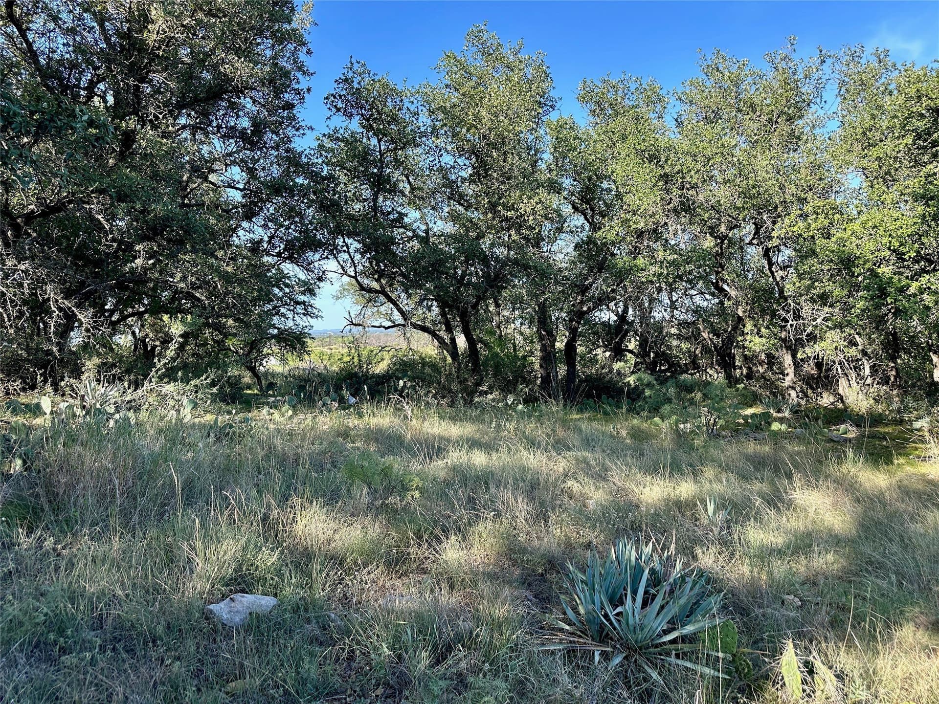 0.32 acres in Brown County - photo 13