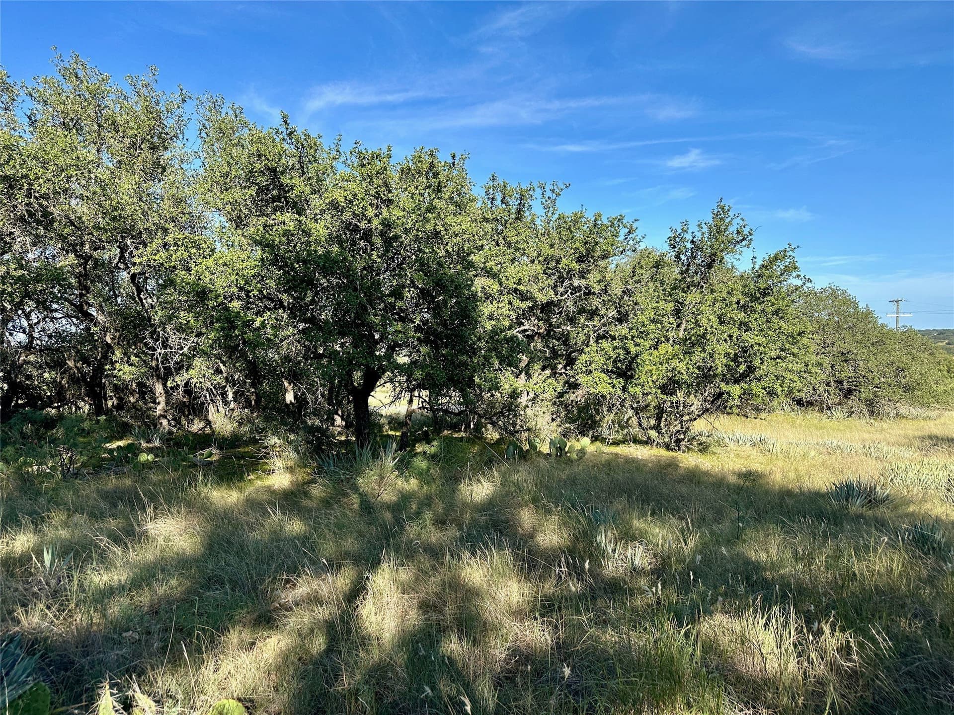 0.32 acres in Brown County - photo 12