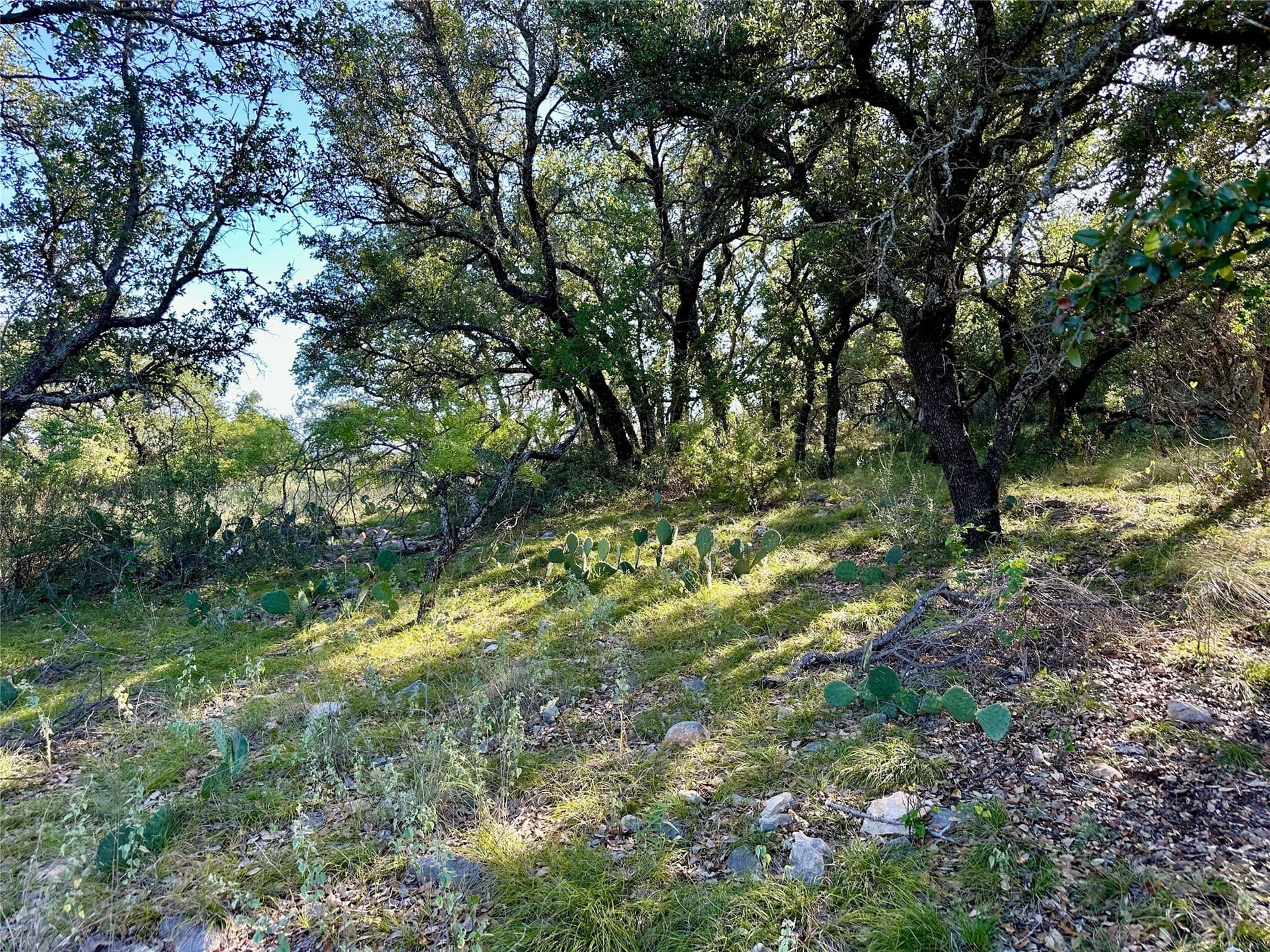 0.32 acres in Brown County - photo 16