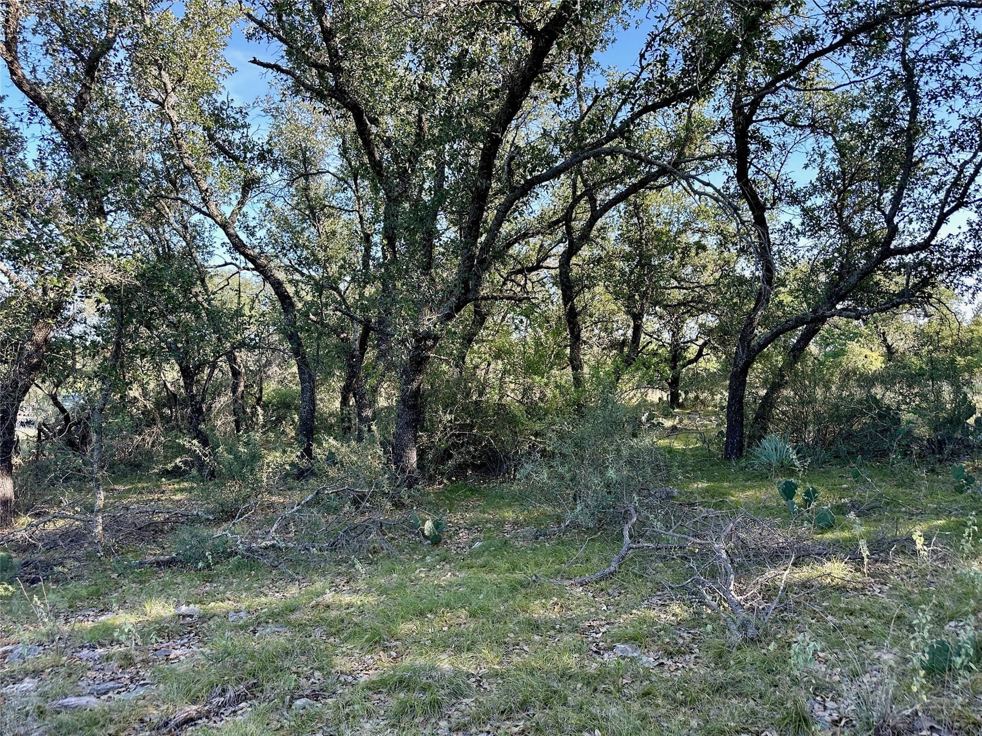 0.32 acres in Brown County - photo 15