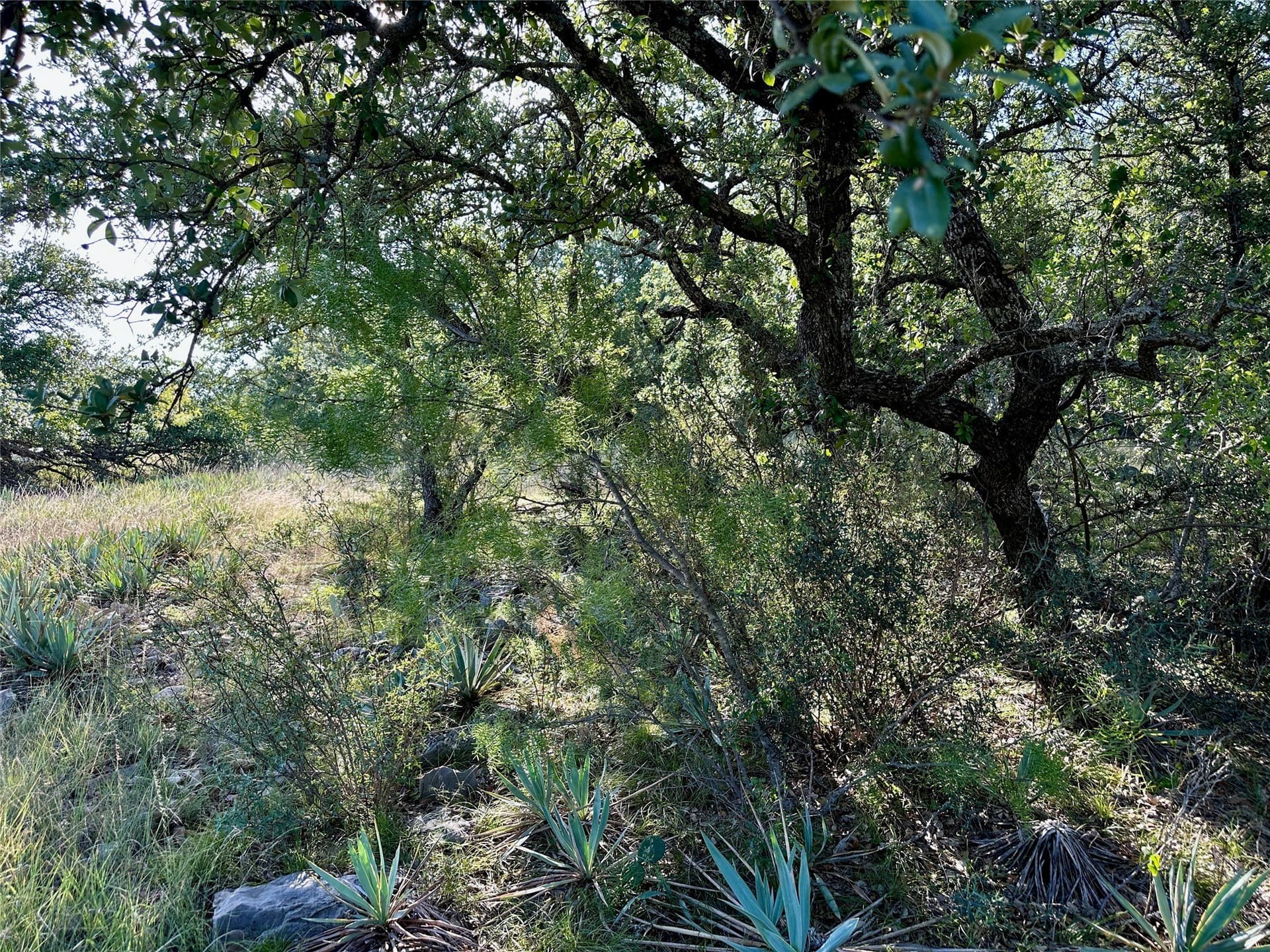0.32 acres in Brown County - photo 10