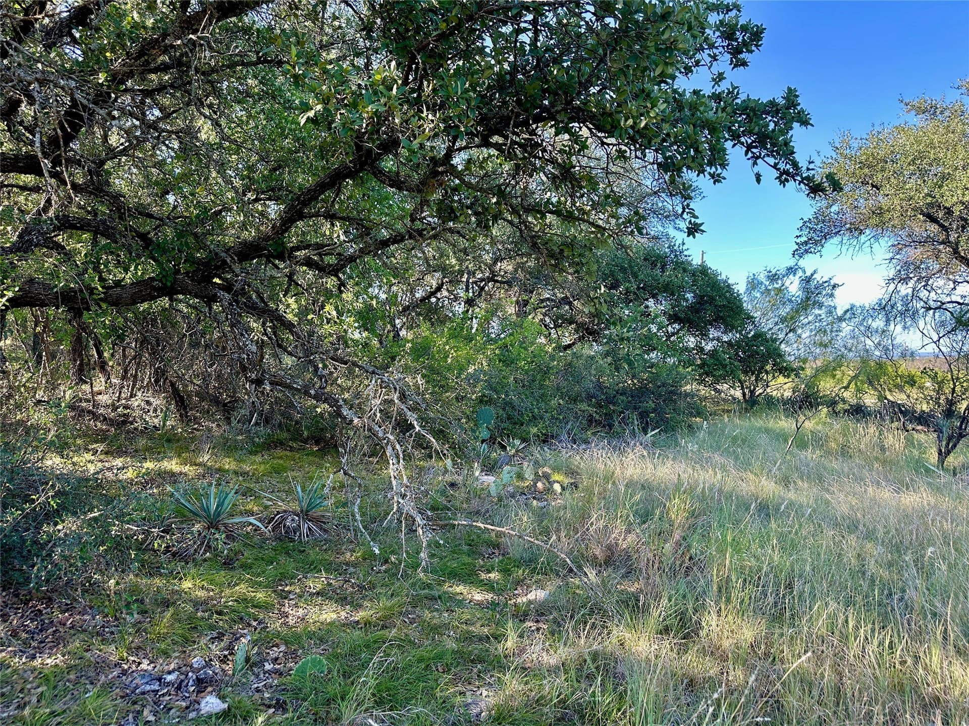 0.32 acres in Brown County - photo 9