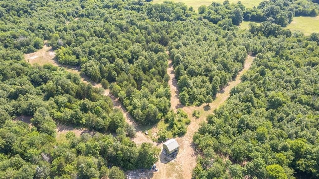 59.95 acres in Hopkins County featured view