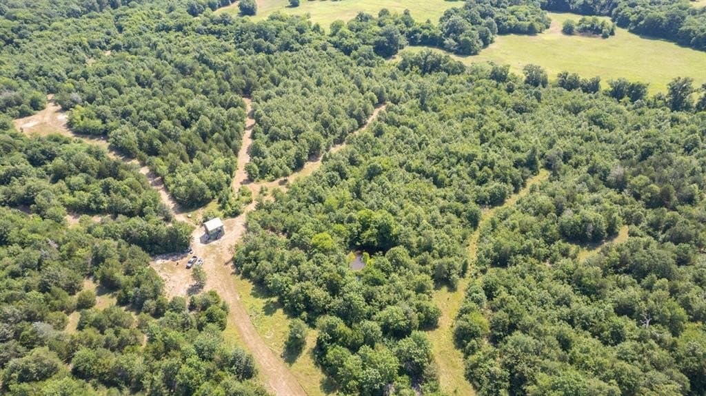 59.95 acres in Hopkins County